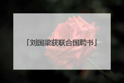 刘国梁获联合国聘书
