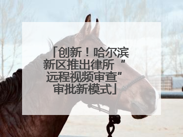创新！哈尔滨新区推出律所“远程视频审查”审批新模式