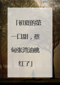 初夏的第一口甜，蔡甸张湾油桃红了