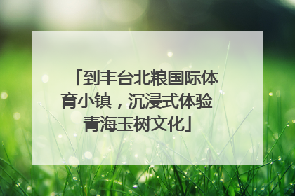 到丰台北粮国际体育小镇，沉浸式体验青海玉树文化