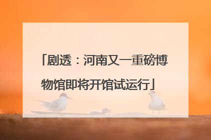 剧透：河南又一重磅博物馆即将开馆试运行