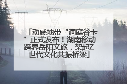 动感地带“洞庭谷卡”正式发布！湖南移动跨界岳阳文旅，架起Z世代文化共振桥梁