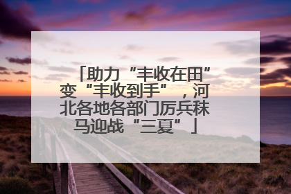 助力“丰收在田”变“丰收到手”，河北各地各部门厉兵秣马迎战“三夏”