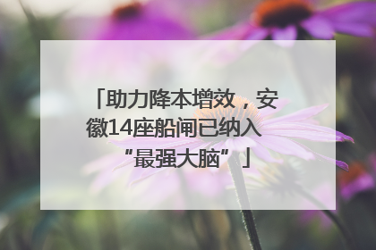 助力降本增效，安徽14座船闸已纳入“最强大脑”