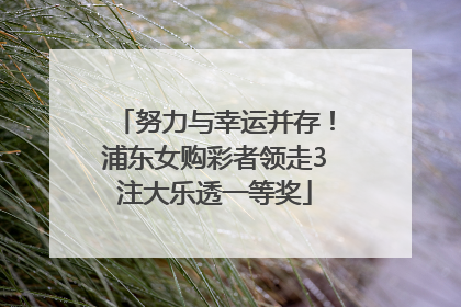 努力与幸运并存！浦东女购彩者领走3注大乐透一等奖