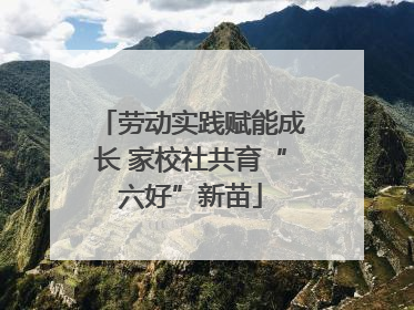 劳动实践赋能成长 家校社共育“六好”新苗