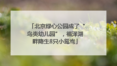 北京绿心公园成了“鸟类幼儿园”，福泽湖畔降生8只小鸳鸯
