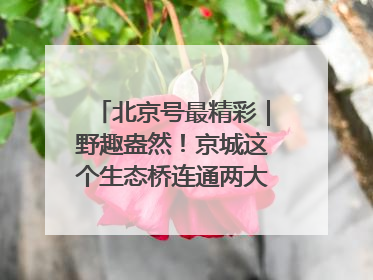 北京号最精彩｜野趣盎然！京城这个生态桥连通两大网红公园