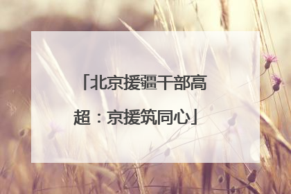 北京援疆干部高超：京援筑同心