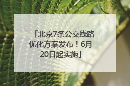 北京7条公交线路优化方案发布！6月20日起实施