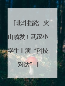 北斗指路+火山喷发！武汉小学生上演“科技对话”