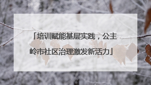 培训赋能基层实践，公主岭市社区治理激发新活力