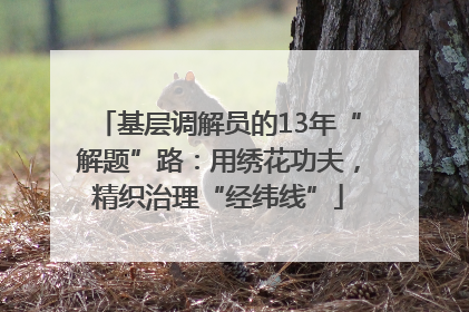 基层调解员的13年“解题”路：用绣花功夫，精织治理“经纬线”
