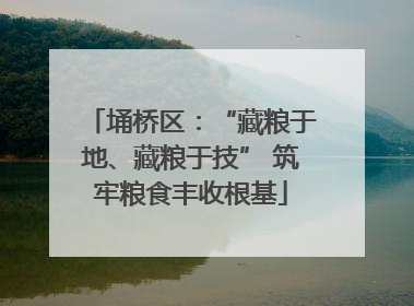 埇桥区：“藏粮于地、藏粮于技” 筑牢粮食丰收根基