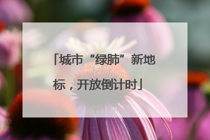 城市“绿肺”新地标，开放倒计时