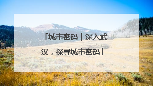 城市密码｜深入武汉，探寻城市密码