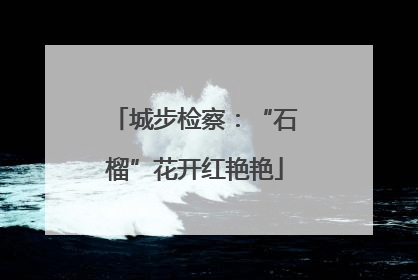 城步检察：“石榴”花开红艳艳