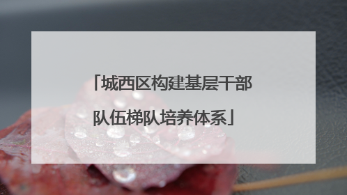 城西区构建基层干部队伍梯队培养体系