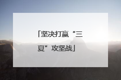 坚决打赢“三夏”攻坚战