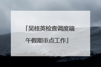 吴桂英检查调度端午假期重点工作