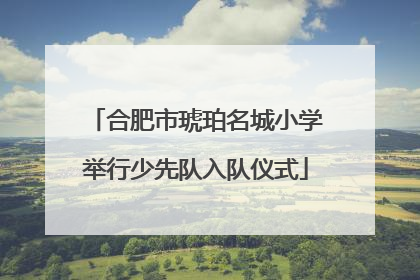 合肥市琥珀名城小学举行少先队入队仪式