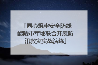 同心筑牢安全防线 醴陵市军地联合开展防汛救灾实战演练