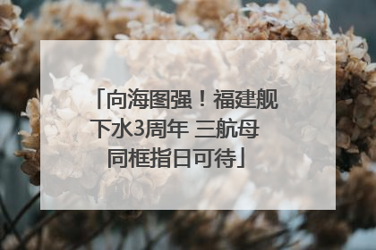 向海图强！福建舰下水3周年 三航母同框指日可待