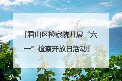 君山区检察院开展“六一”检察开放日活动