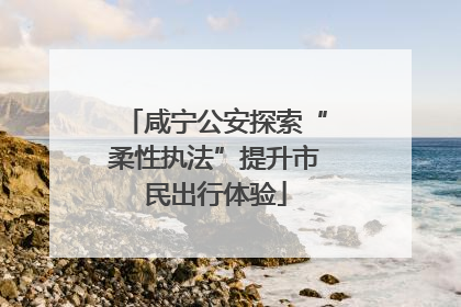 咸宁公安探索“柔性执法”提升市民出行体验