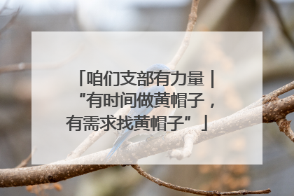 咱们支部有力量｜“有时间做黄帽子，有需求找黄帽子”
