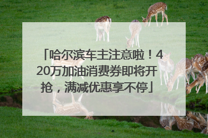 哈尔滨车主注意啦！420万加油消费券即将开抢，满减优惠享不停