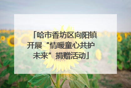 哈市香坊区向阳镇开展“情暖童心共护未来”捐赠活动
