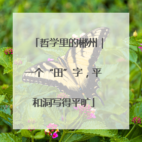 哲学里的郴州｜一个“田”字，平和洞写得平旷