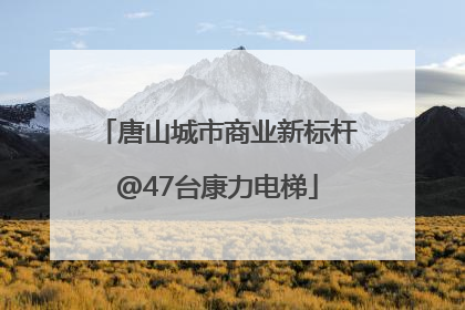 唐山城市商业新标杆@47台康力电梯