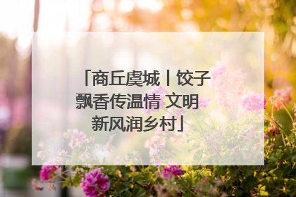 商丘虞城丨饺子飘香传温情 文明新风润乡村