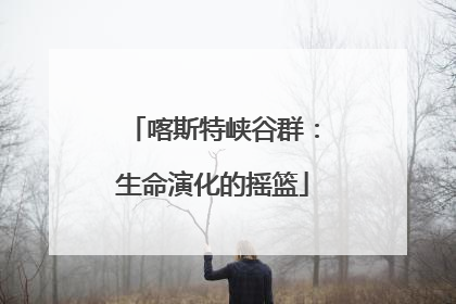 喀斯特峡谷群：生命演化的摇篮