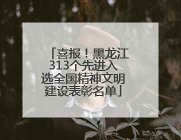 喜报！黑龙江313个先进入选全国精神文明建设表彰名单