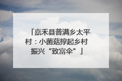 嘉禾县普满乡太平村：小菌菇撑起乡村振兴“致富伞”
