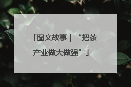 图文故事｜“把茶产业做大做强”