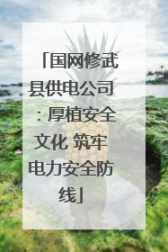国网修武县供电公司：厚植安全文化 筑牢电力安全防线