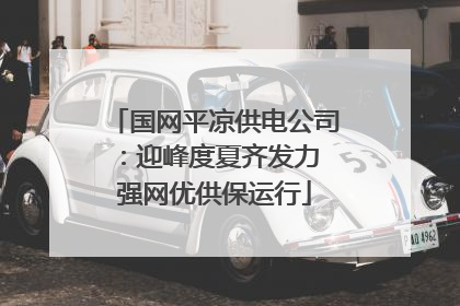 国网平凉供电公司：迎峰度夏齐发力 强网优供保运行