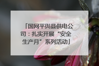 国网平舆县供电公司：扎实开展“安全生产月”系列活动