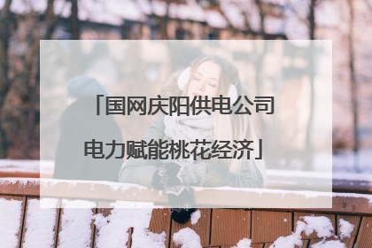国网庆阳供电公司电力赋能桃花经济