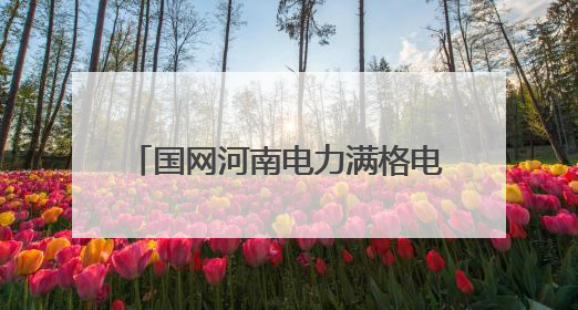 国网河南电力满格电护航“三夏”生产