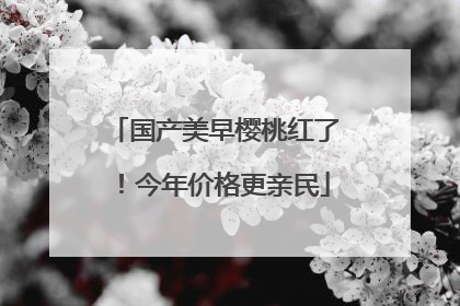 国产美早樱桃红了！今年价格更亲民