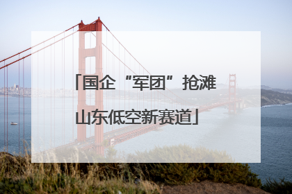 国企“军团”抢滩山东低空新赛道