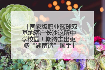 国家级职业篮球双基地落户长沙这所中学校园！期待走出更多“湖南造”国手