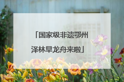 国家级非遗鄂州泽林旱龙舟来啦