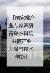 国家桃产业专家调研青岛农科院 共商产业升级与技术创新