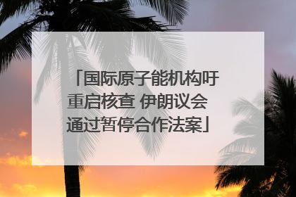 国际原子能机构吁重启核查 伊朗议会通过暂停合作法案